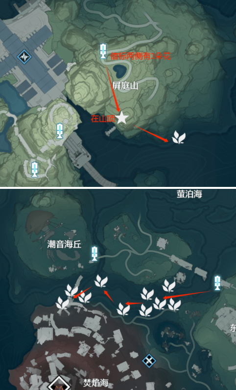 鸣潮鸳鸯花木莲怎么采集,鸣潮鸳鸯花木莲采集路线分享,鸣潮