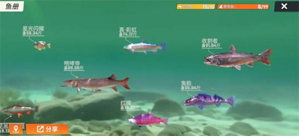 欢乐钓鱼大师鱼类有哪些,欢乐钓鱼大师鱼类图鉴大全