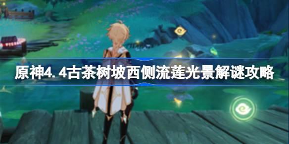原神4.4古茶树坡西侧流莲光景怎么解谜,原神4.4古茶树坡西侧流莲光景解谜攻略,原神