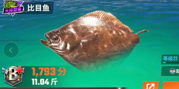 欢乐钓鱼大师鱼类有哪些,欢乐钓鱼大师鱼类图鉴大全