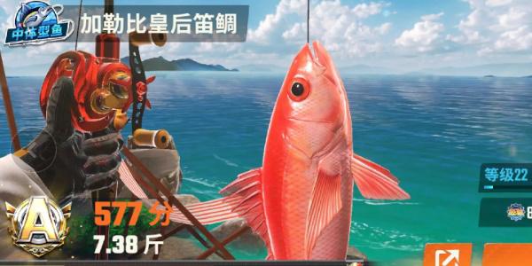 欢乐钓鱼大师鱼类有哪些,欢乐钓鱼大师鱼类图鉴大全