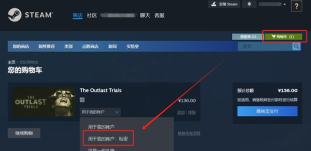 steam私密游戏怎么设置,steam私密游戏设置教程,steam