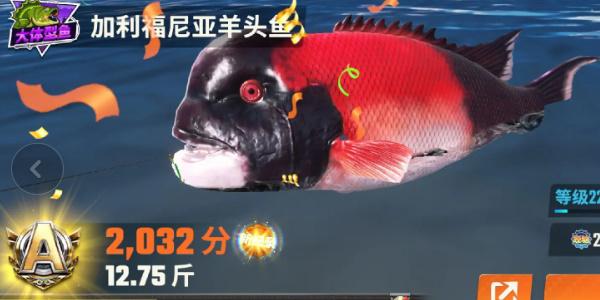 欢乐钓鱼大师鱼类有哪些,欢乐钓鱼大师鱼类图鉴大全