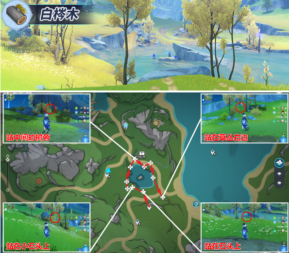 原神4.3枫丹木材怎么采集,原神枫丹木材采集路线分享,原神