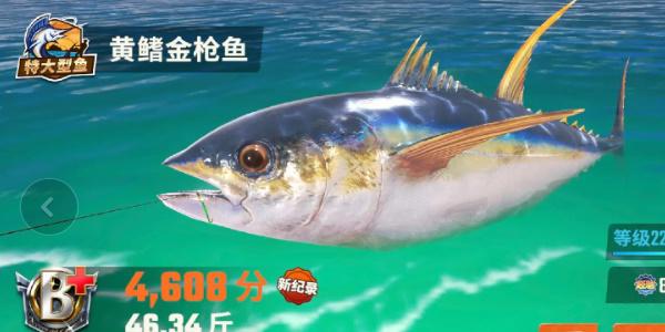 欢乐钓鱼大师鱼类有哪些,欢乐钓鱼大师鱼类图鉴大全