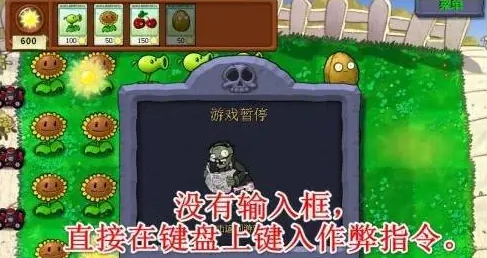 植物大战僵尸秘籍怎么输入,植物大战僵尸秘籍代码及使用教学