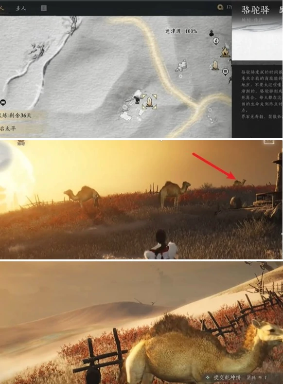 燕云十六声骆驼铃铛任务怎么做,燕云十六声万事知骆驼铃铛任务攻略,燕云十六声