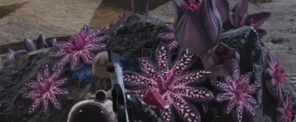 七日世界芽孢争夺怎么玩,七日世界芽孢争夺玩法攻略