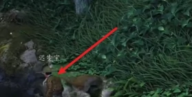 燕云十六声万事知可我馋阿任务怎么通过