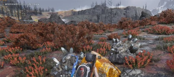 七日世界雪国金矿采集点