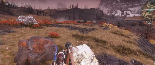 七日世界雪国金矿采集点