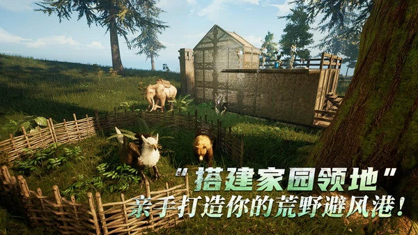 黑光生存进化常见问题汇总