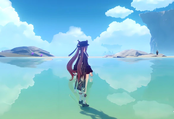 原神风中万花鹰翔海滩怎么刷高分