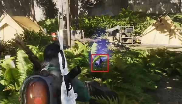 七日世界垩峰山密藏点在哪