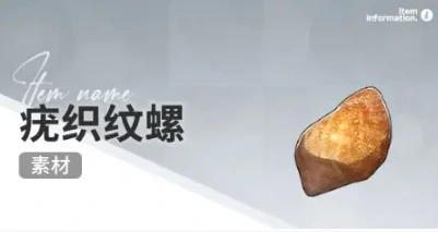 开放空间赶海收集物什么时候会出现