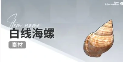 开放空间赶海收集物什么时候会出现