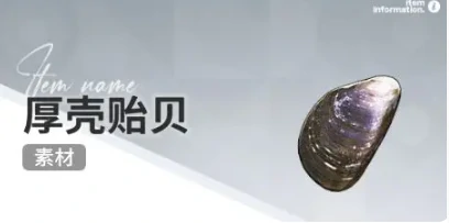 开放空间赶海收集物什么时候会出现