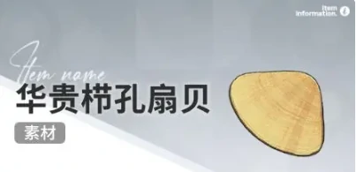 开放空间赶海收集物什么时候会出现