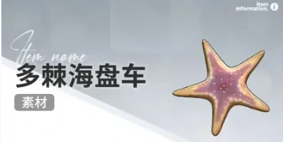 开放空间赶海收集物什么时候会出现