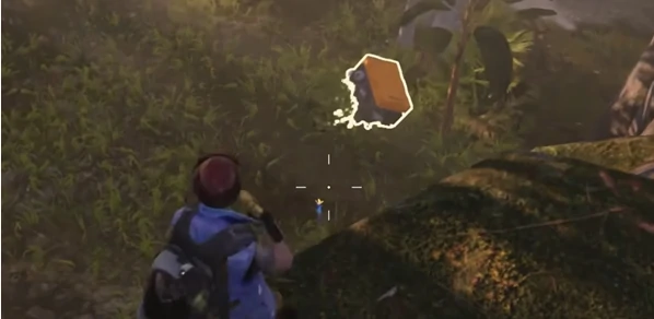 七日世界代顿湿地宝箱位置大全