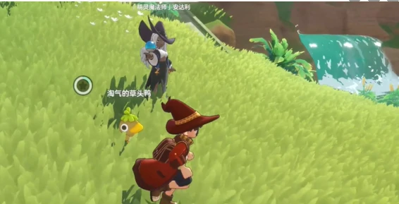 洛克王国世界路边带精灵的魔法师在哪