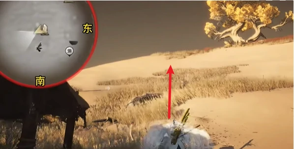 燕云十六声沙漠之酒任务怎么完成