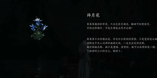 燕云十六声红尘障目奇术获取攻略