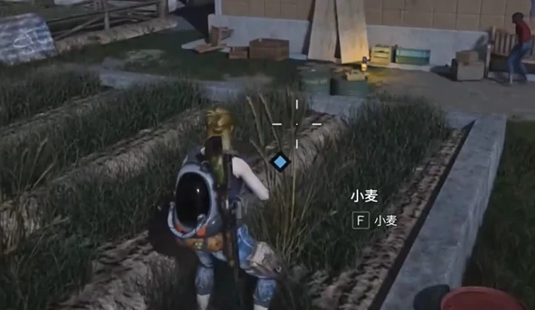 七日世界收获季节任务怎么完成