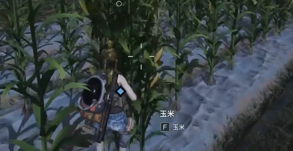 七日世界收获季节任务怎么完成