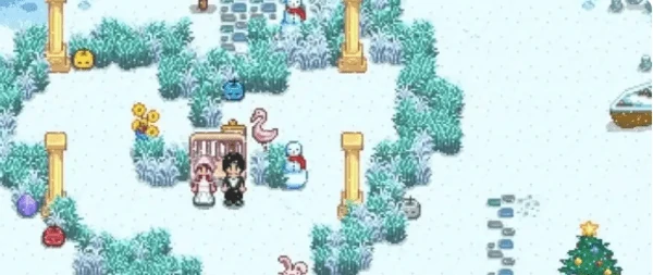 星露谷物语结婚介绍