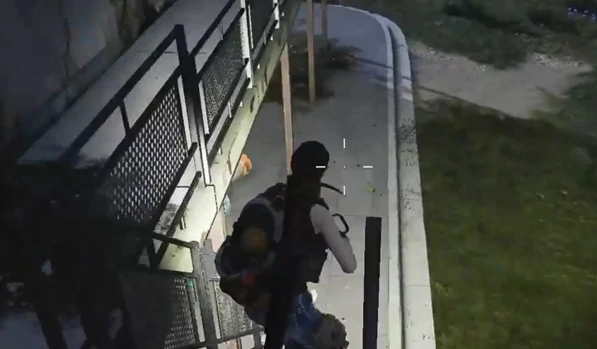 七日世界故园遗梦任务怎么做