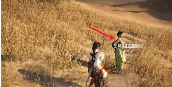 燕云十六声万事知与卿书任务怎么完成