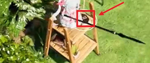 开放空间罗塔花园广场书籍在哪