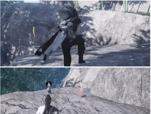 燕云十六声竹林旧居猫戏怎么找