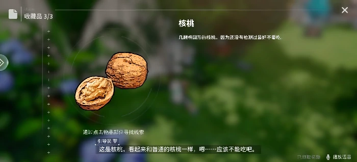 开放空间瓶中小径收藏品在哪里