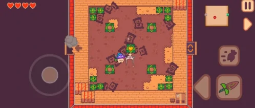 大头菜菜历险记帽子全收集