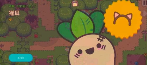 大头菜菜历险记帽子全收集