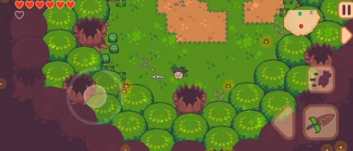 大头菜菜历险记帽子全收集