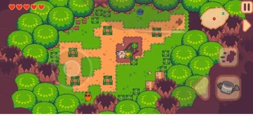 大头菜菜历险记心果位置大全