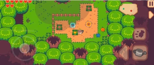 大头菜菜历险记心果位置大全