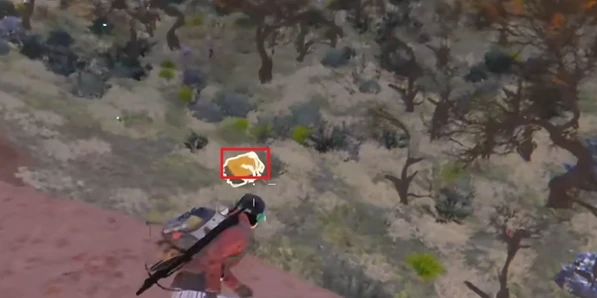 七日世界黑心地带宝箱位置大全