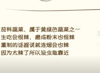 蜡笔小新煤炭镇的小白山菜全收集攻略