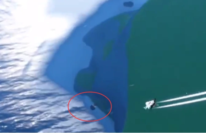 光遇鸣谢收藏家先祖位置