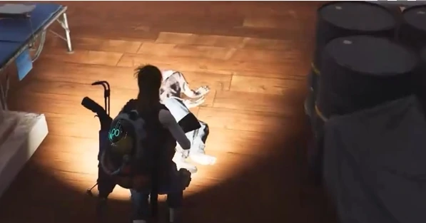 七日世界无价之宝任务怎么做