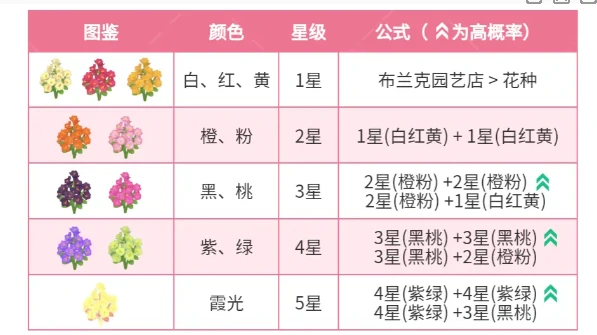 心动小镇迎春花杂交配方大全