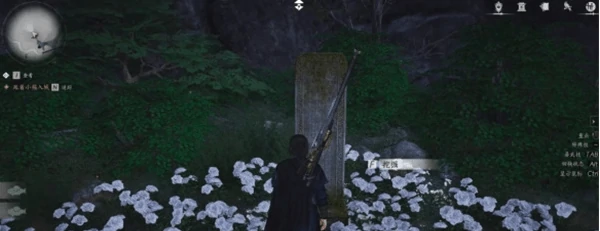 燕云十六声飞鸢之影任务怎么做