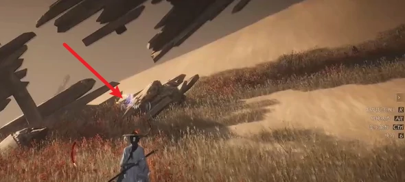 燕云十六声玉门关金沙川蹊跷位置大全