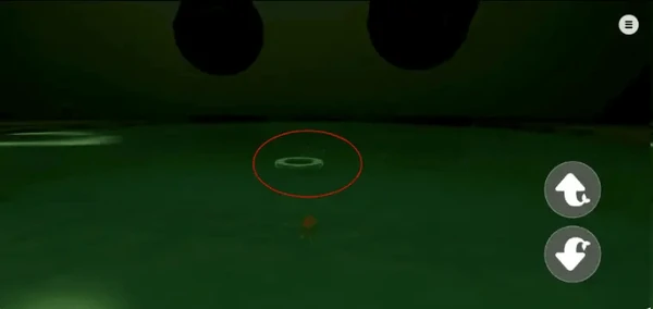 我是小鱼儿金鱼篇通关路径指南大全