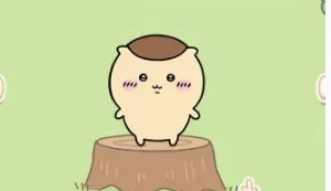 口袋吉伊卡哇角色图鉴大全