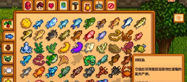 星露谷物语绯红鱼钓点及技巧